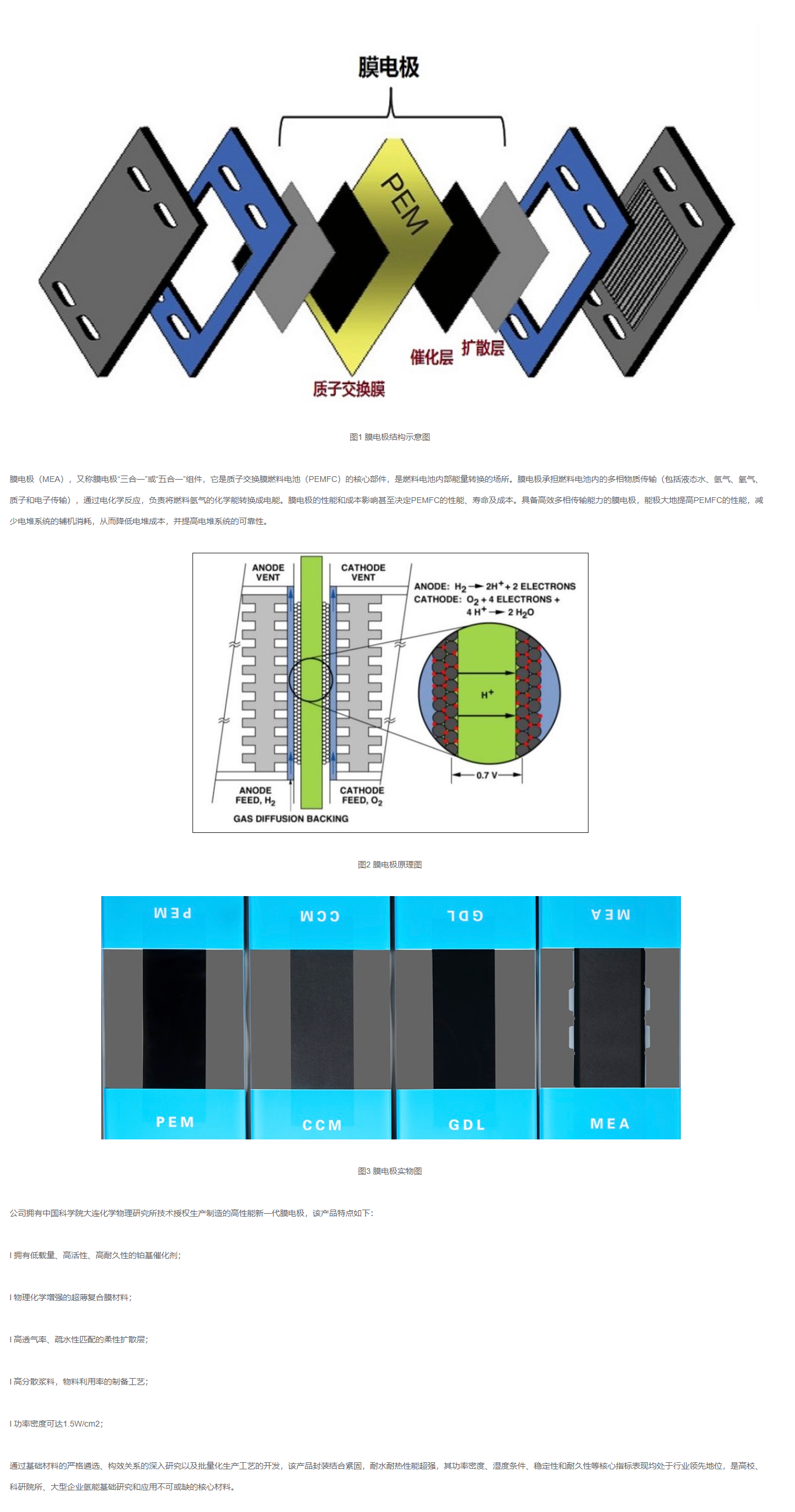 中能大友DAYO膜电极（MEA）测试配件.png